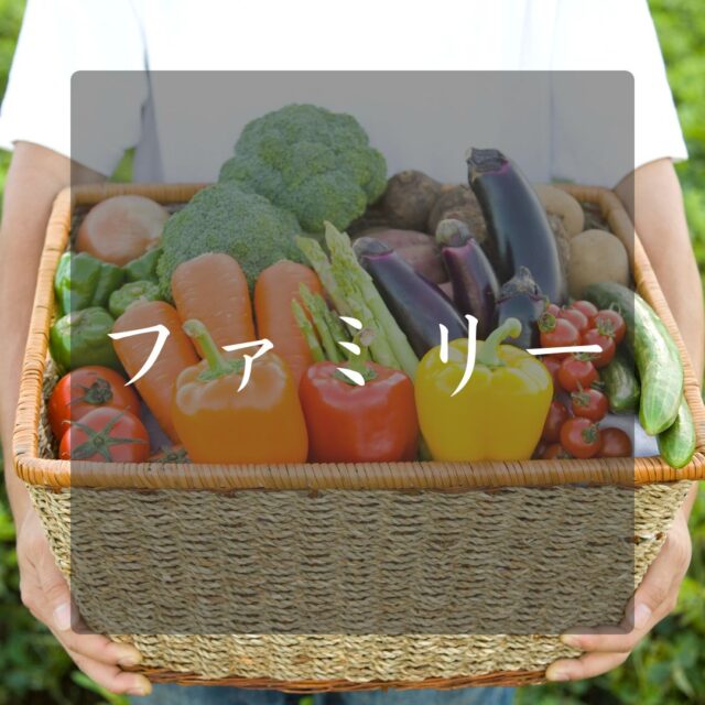 ファミリープラン(3-4名)