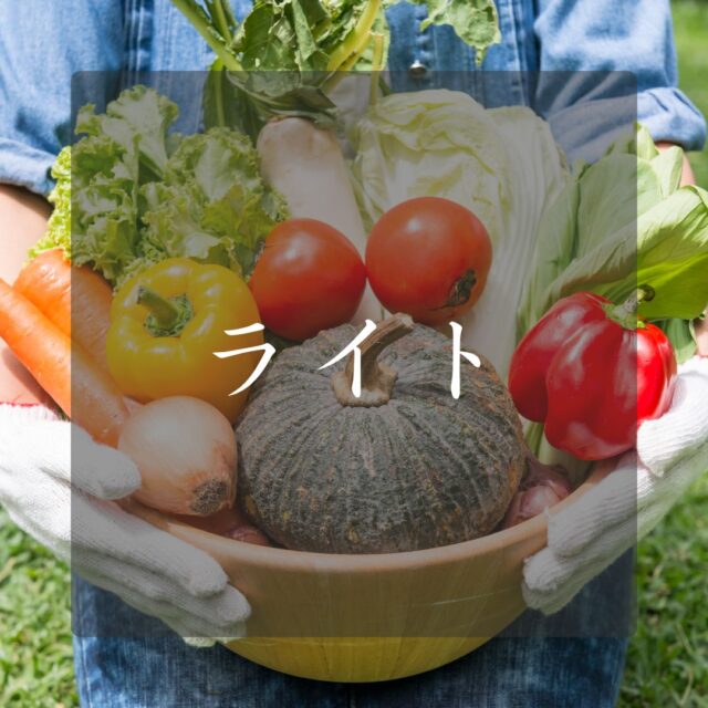 ライトプラン(1-2名)